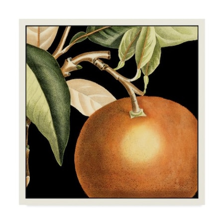 Vision Studio 'Dramatic Orange' Canvas Art,35x35
